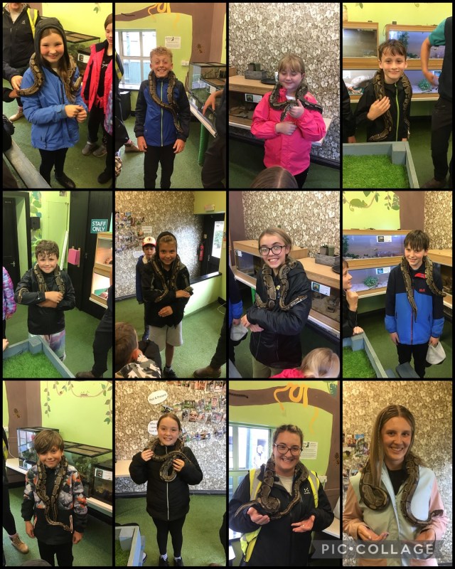 Year 6 and Year 5 Farm Visit. | SJB Primary School