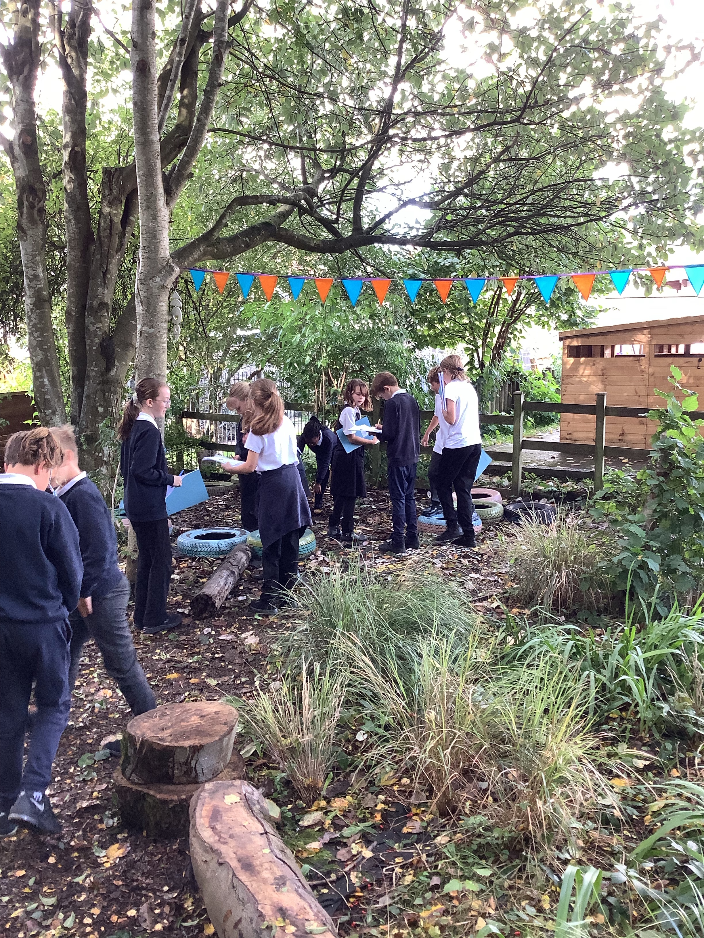 Year 6 science | SJB Primary School