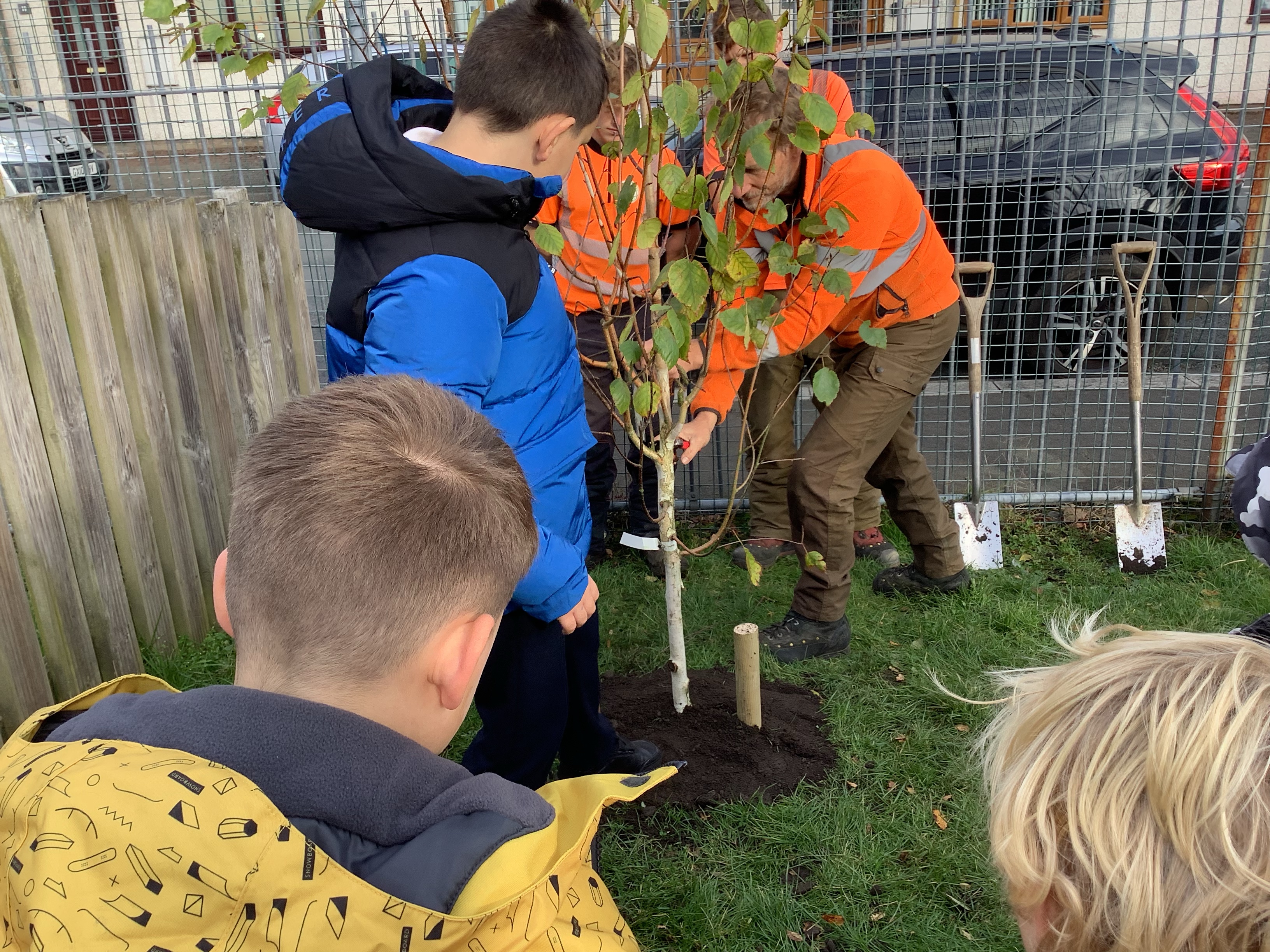 Commemorative Tree Planting | SJB Primary School